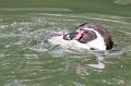 Zoo_Pilsen_CZ_48