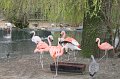 Zoo_Pilsen_CZ_49