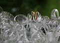 IMG_4652
