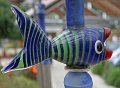 IMG_4749