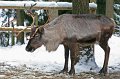 IMG_0520