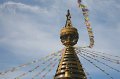 Wiesent_044