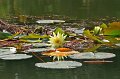 Wiesent_066