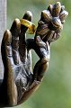 Wiesent_069