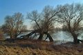 Straubing_021