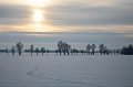 Straubing_047